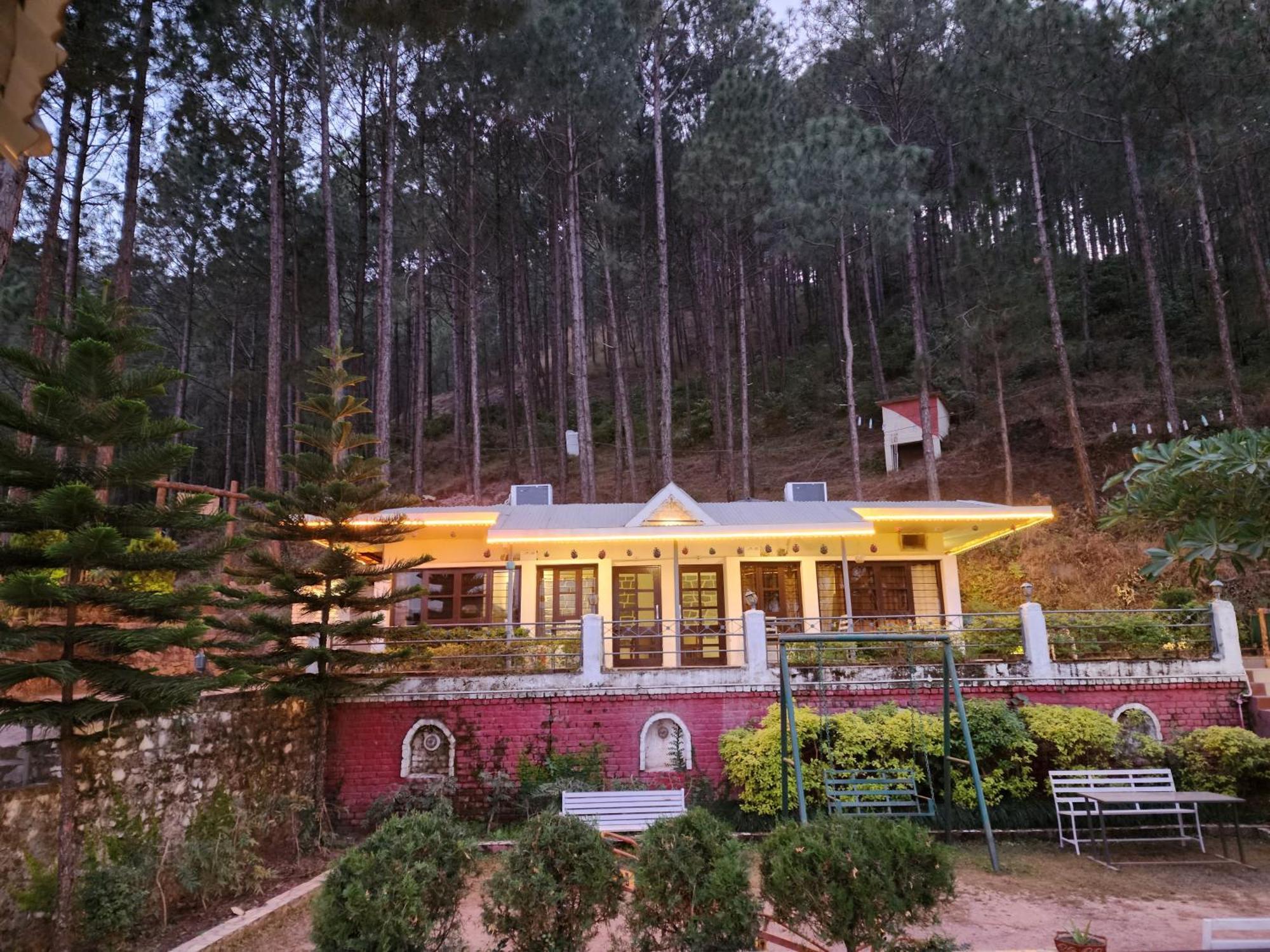 Pine Valley Resort Kasauli Εξωτερικό φωτογραφία