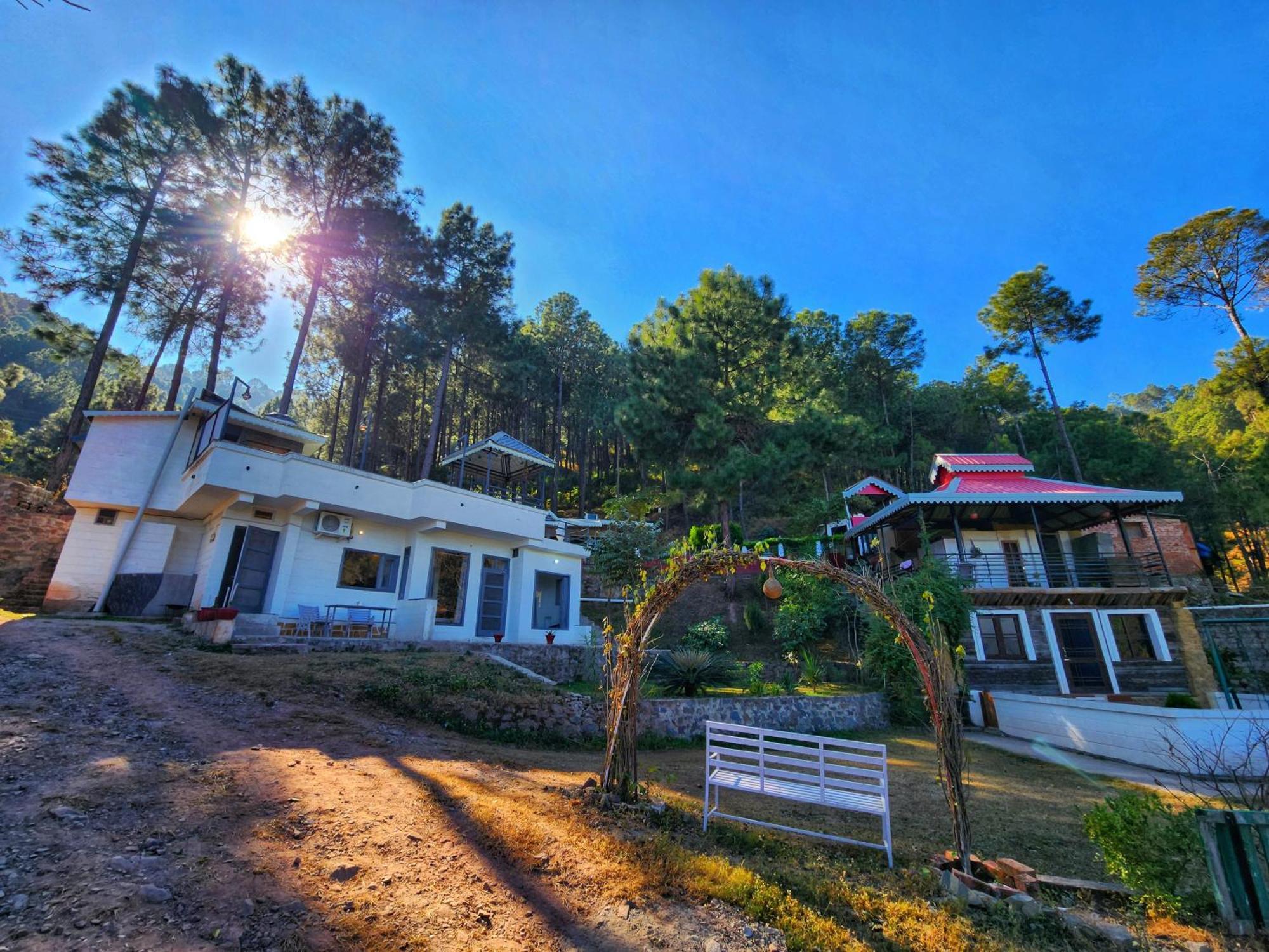 Pine Valley Resort Kasauli Εξωτερικό φωτογραφία