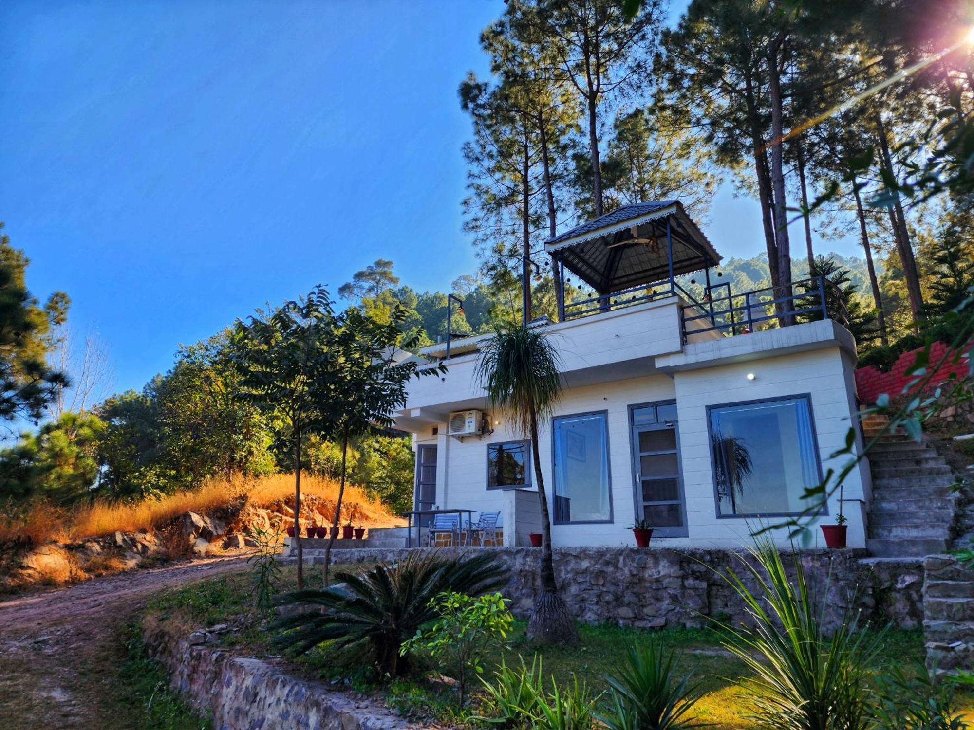 Pine Valley Resort Kasauli Εξωτερικό φωτογραφία